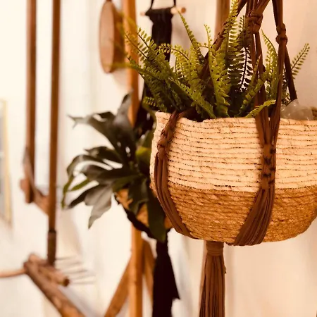 Apartment Rincon Botanico - Shared Pool - Island Location - 10 Mins Drive To Famara And La Santa *