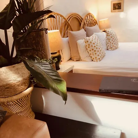 Rincon Botanico - Shared Pool - Island Location - 10 Mins Drive To Famara And La Santa Apartment Tiagua